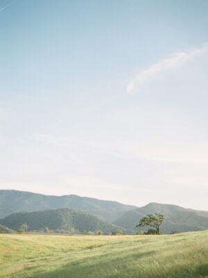Rolling Hills | Santa Ynez