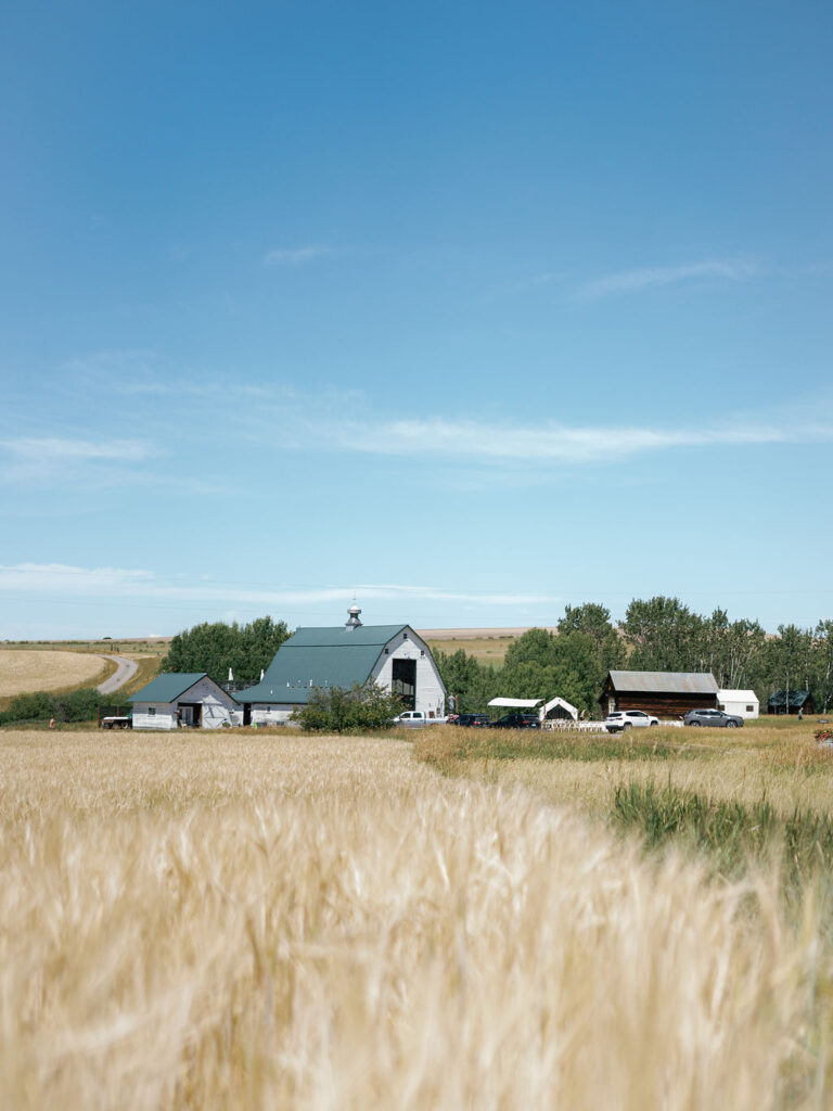 Foster Creek Farm Belgrade Montana wedding venue